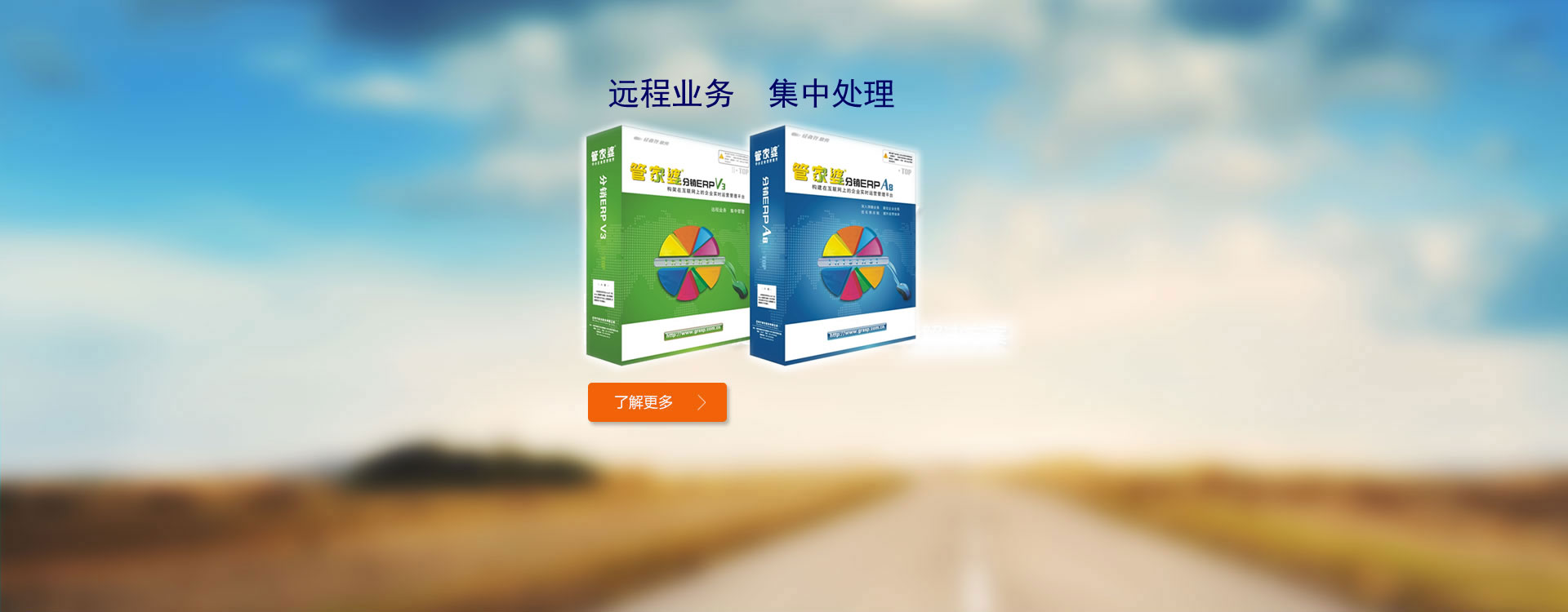 分銷ERP
